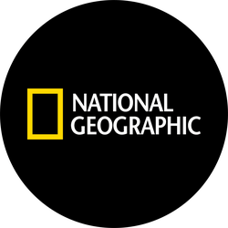 National_Geographic_Channel_logo_PNG7